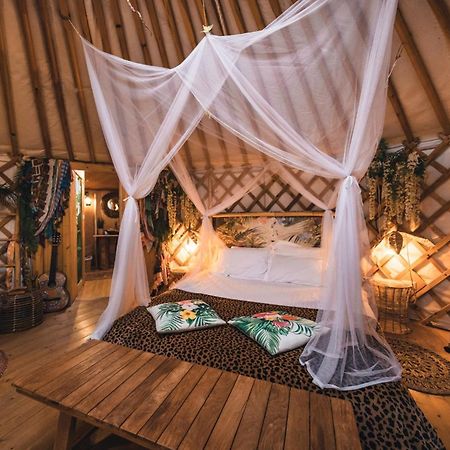 2 Cuori E 1 Yurta Glamping In Tuscany - Adults Only Asciano Zewnętrze zdjęcie