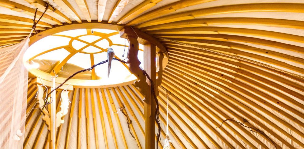 2 Cuori E 1 Yurta Glamping In Tuscany - Adults Only Asciano Zewnętrze zdjęcie