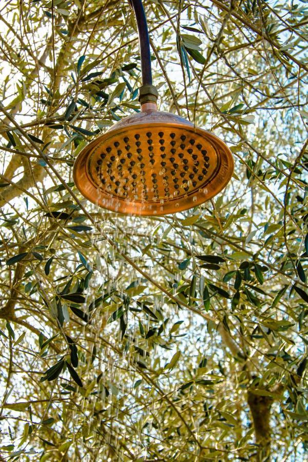 2 Cuori E 1 Yurta Glamping In Tuscany - Adults Only Asciano Zewnętrze zdjęcie